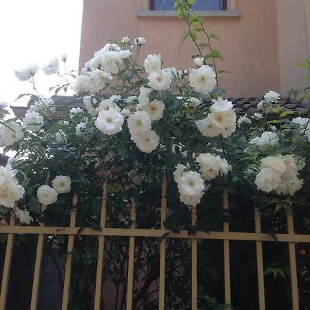 Morskoi Gnom 아파트 *